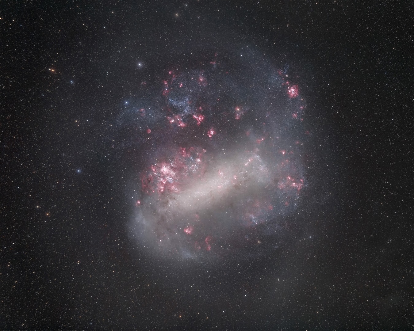 The Large Magellanic Cloud