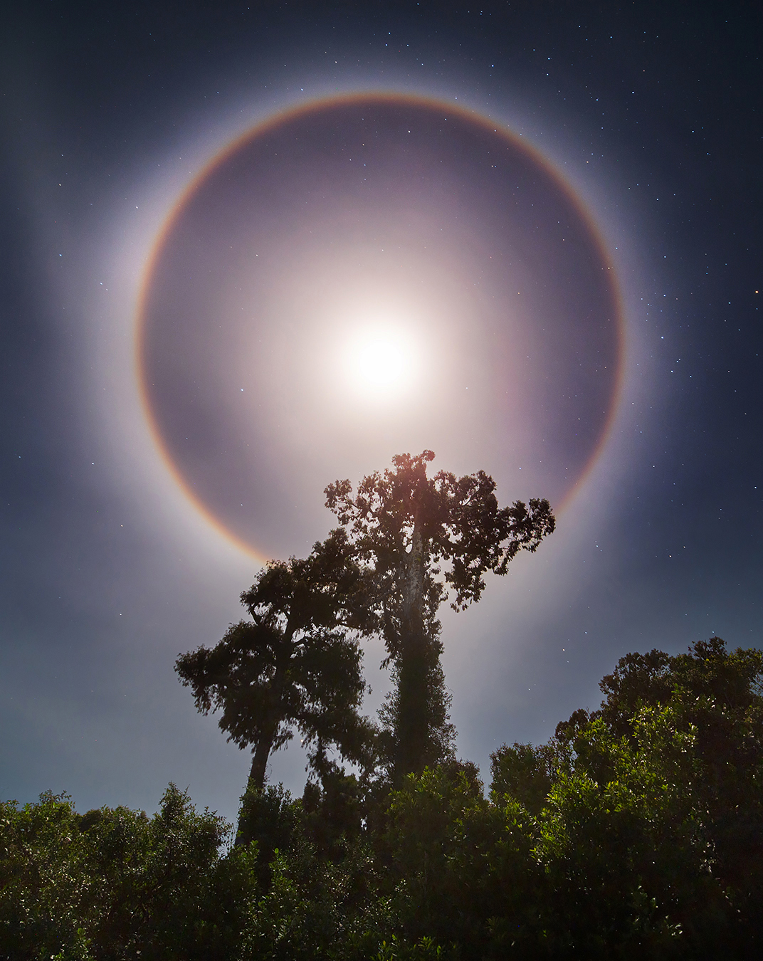 Moon Halo