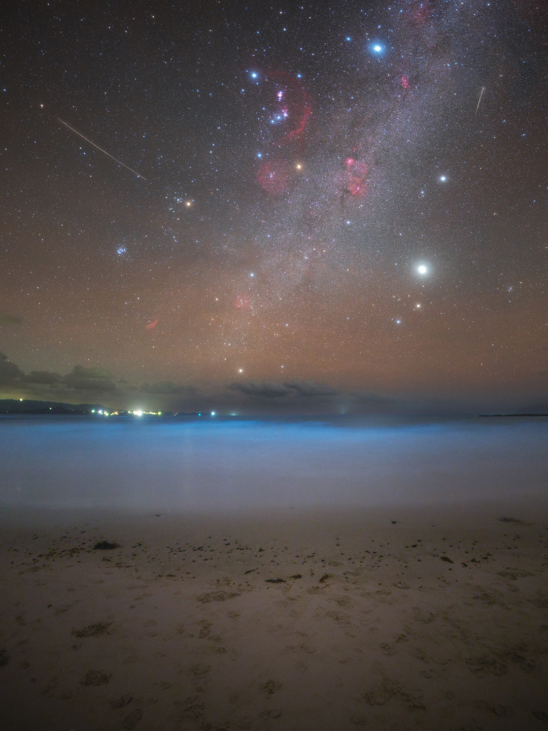 Bioluminescent Geminids