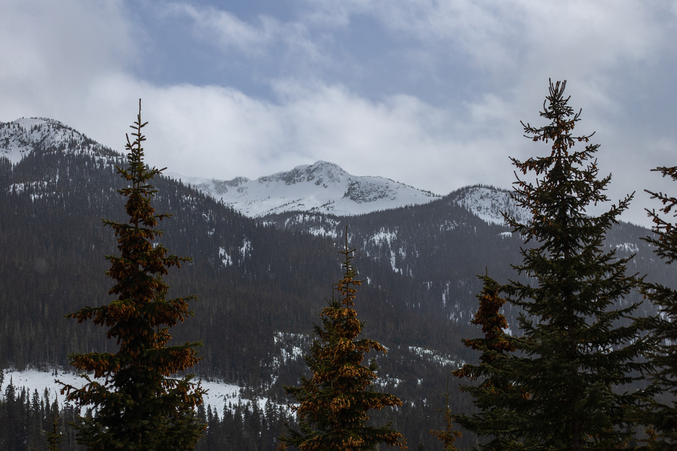 Mountain pass clearing